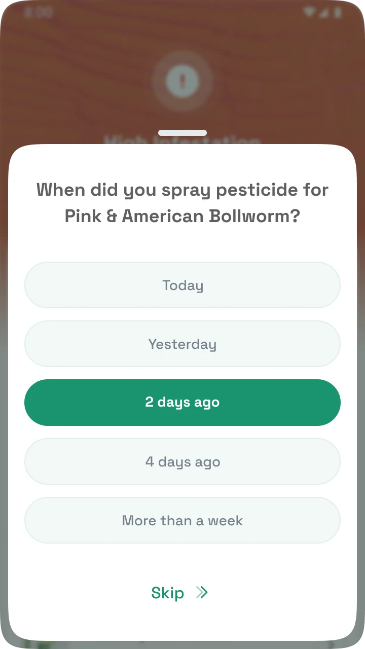 CottonAce follow-up asking when pesticide was last sprayed for pink and American bollworm, with 2 days ago selected.