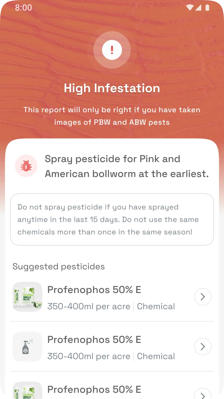 CottonAce result screen: High Infestation, advising a pesticide spray for pink and American bollworm, with a caution and suggested pesticides.